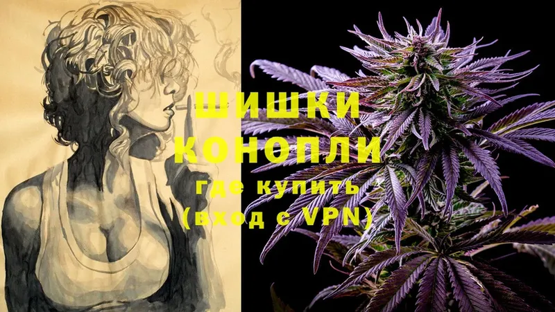 Бошки марихуана THC 21%  Бокситогорск 